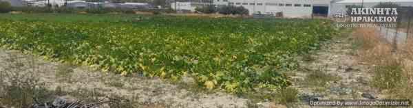 εικόνα_Viber_2025-07-10_14-12-52-549.jpg